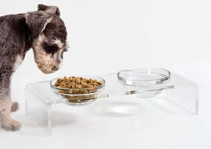 Clear 12" 2 Bowl Feeder W/color Bowls 2qt