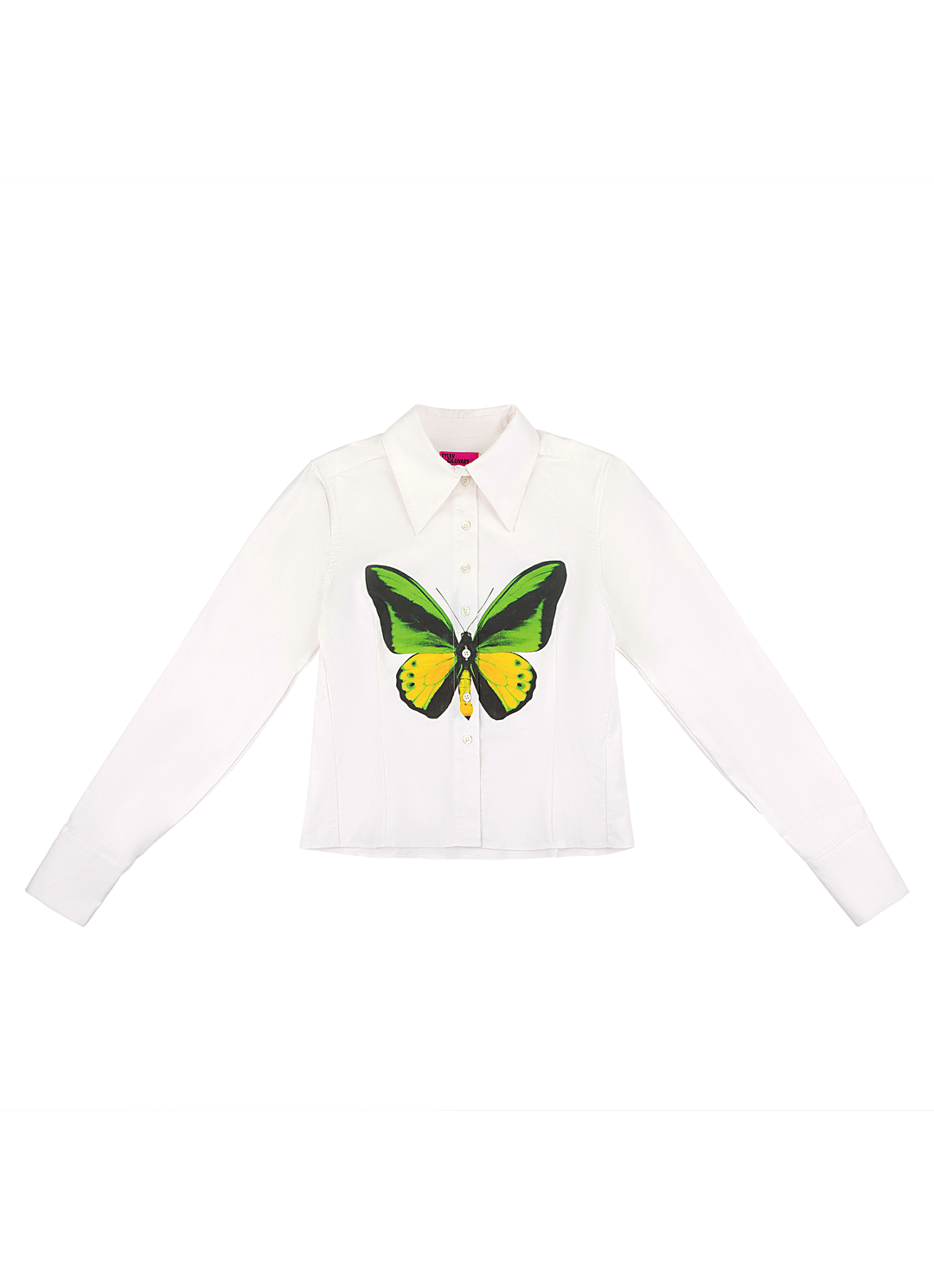 Birdwing Button Down (All Colors) (All Sizes)