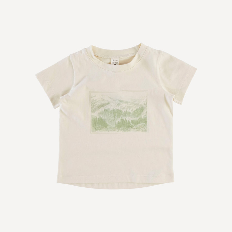 Short Sleeve Essential Boxy Tee Shirt (all Colors And All Sizes)