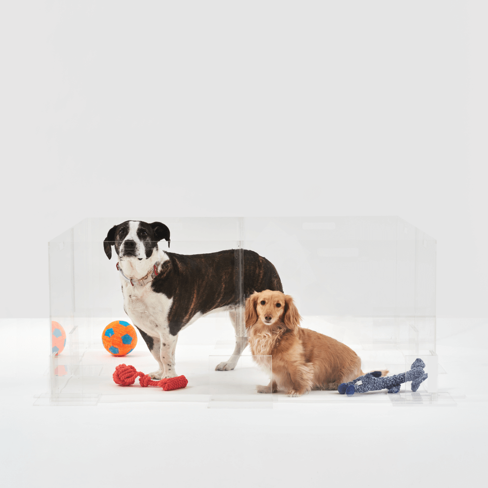 24"Playpen Single Wall