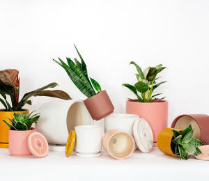 Planter Pot (size: 6.5") - White, White Sesame, Top Half Black, Top Half Mustard, Seaglass, Rust, Top Half Dusty Rose, Blush, Sage, Lavender, Bubblegum