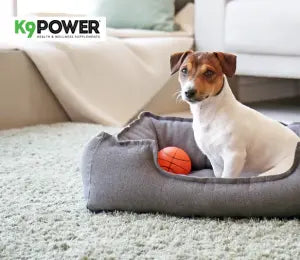 K9 Power Super Fuel 1 Pound Bag