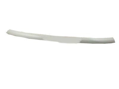 MOULDING SUB-ASSY