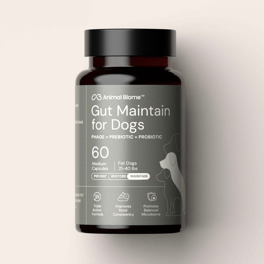 AnimalBiome Dog Probiotics - GMP Prebiotics And Probiotics - Reduce Diarrhea Flareups - For Dogs 21-40 Lbs (60 Capsules) - DoggyBiome