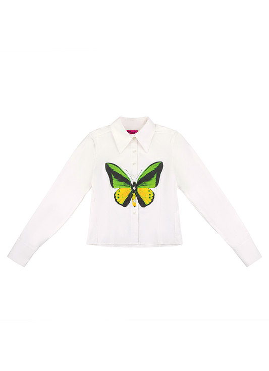 Birdwing Button Down (All Colors) (All Sizes)