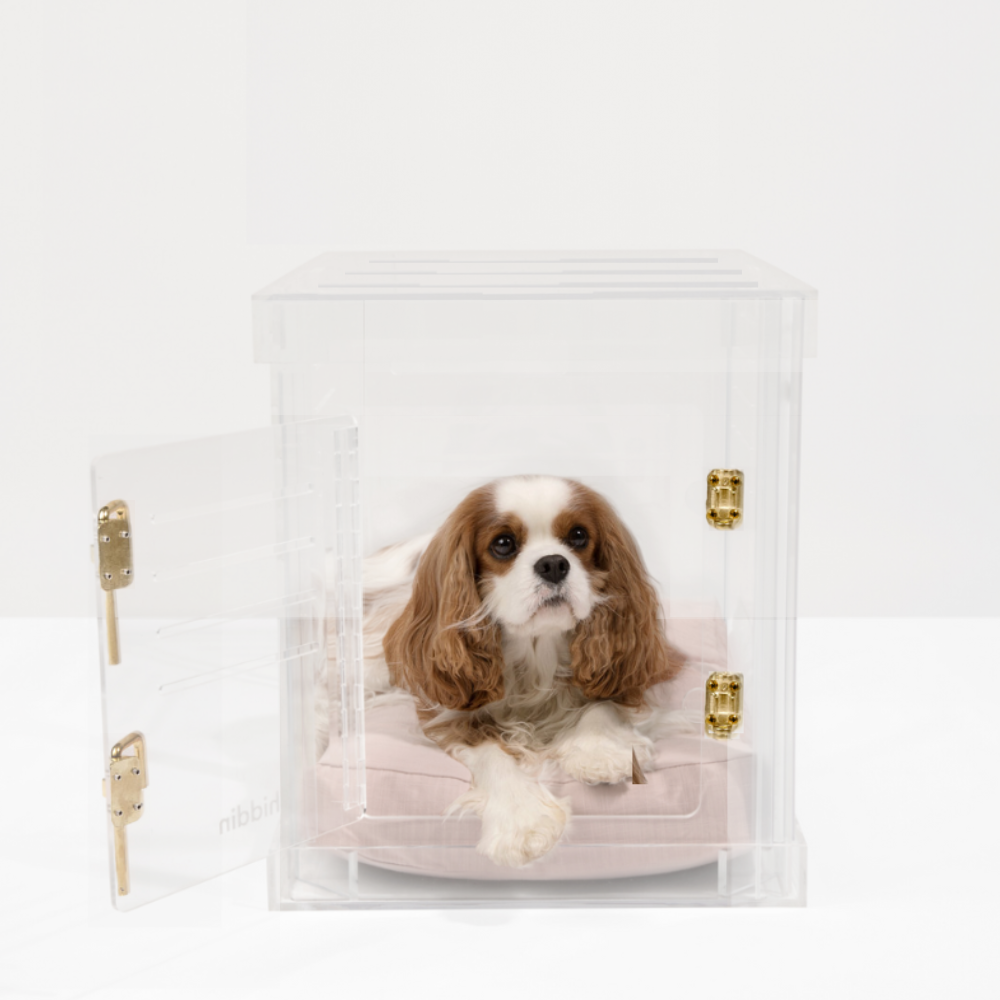 Small Crate (can Be For Gold Or Silver Latch)