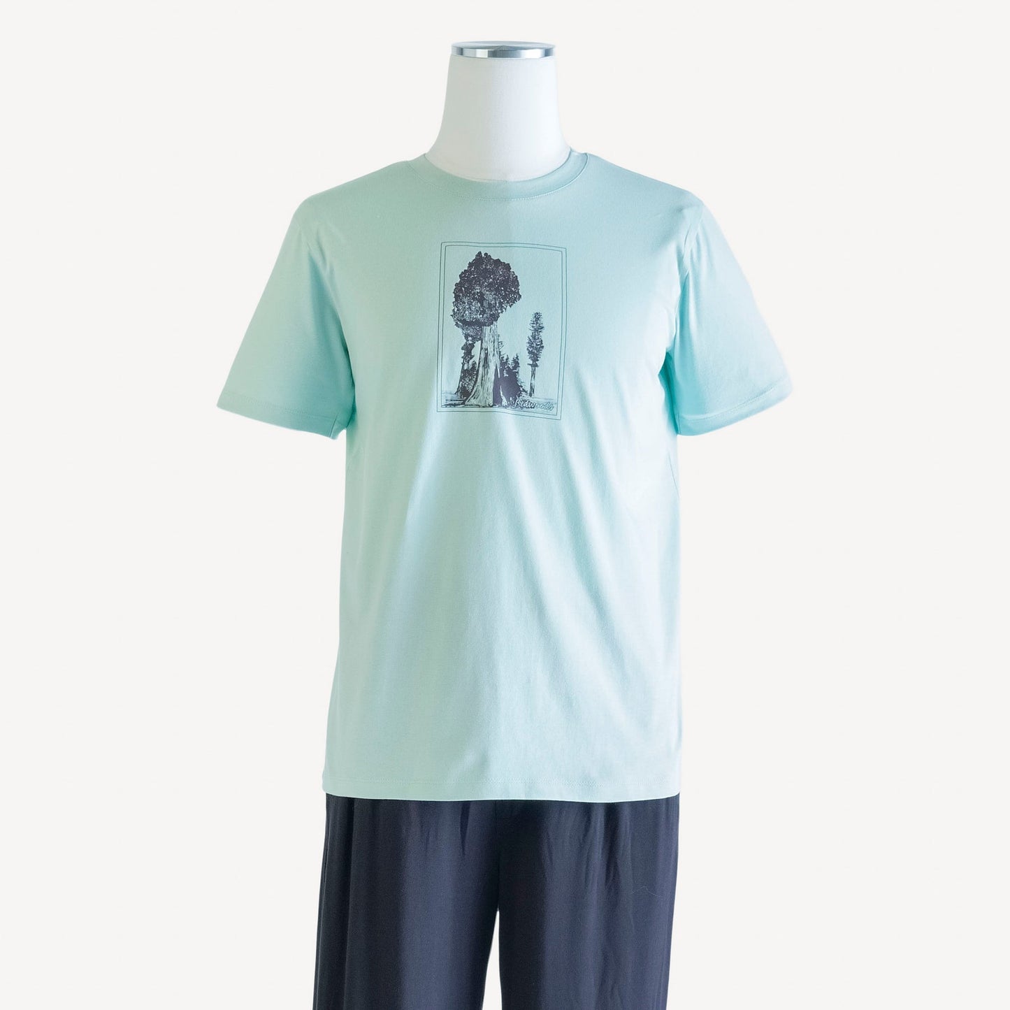 Mens Short Sleeve Tee Shirt (all Colors And All Sizes)