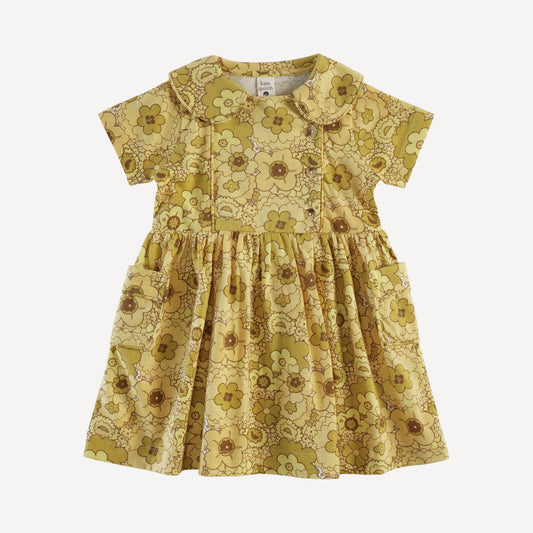 Short Sleeve Peter Pan Dress (all Sizes, All Colors)