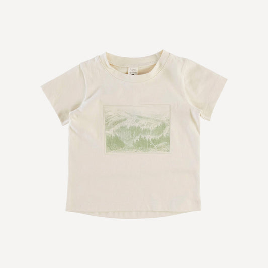 Short Sleeve Essential Boxy Tee Shirt (all Colors And All Sizes)