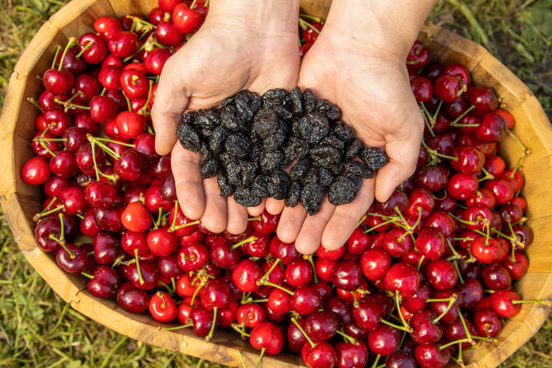 Unsweetened Dried Cherries, Bing, Low Moisture, W/ Rice Flour, Medium, Bulk (Lbs)