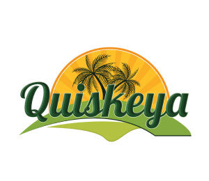QUISKEYA BLACK BEANS USA 50 LBS