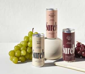 Non-Alcoholic Sparkling Brut (4 Pack, 8.5 Fl. Oz Cans)