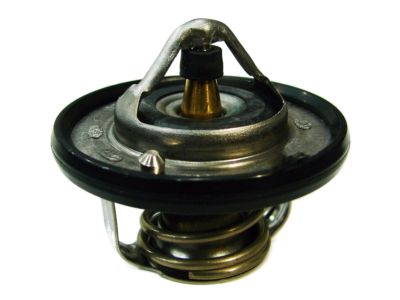 THERMOSTAT ASSY