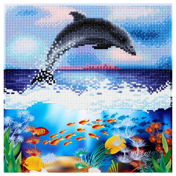 Dolphin Intermediate Art Kit (12" X 12")