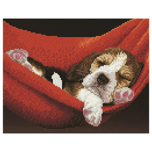 Dog In Hammock Moderate Art Kit (11" X 14")